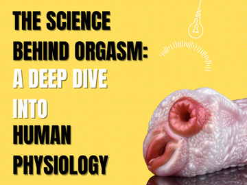 The Science Behind Orgasm: A Deep Dive into Human Physiology